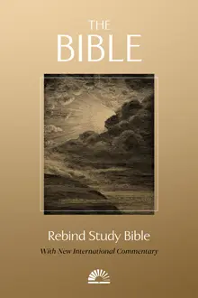 Book cover of The Rebind Bible