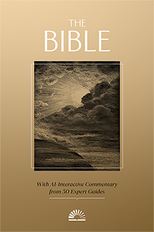 Book cover of The Rebind Bible