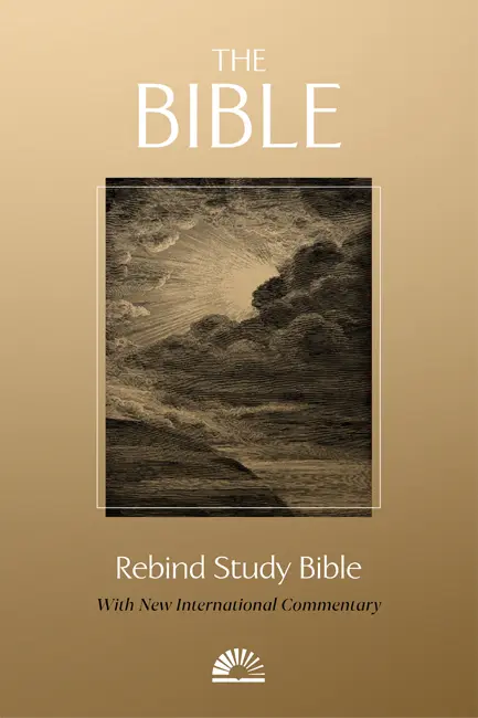 Book cover of The Rebind Bible